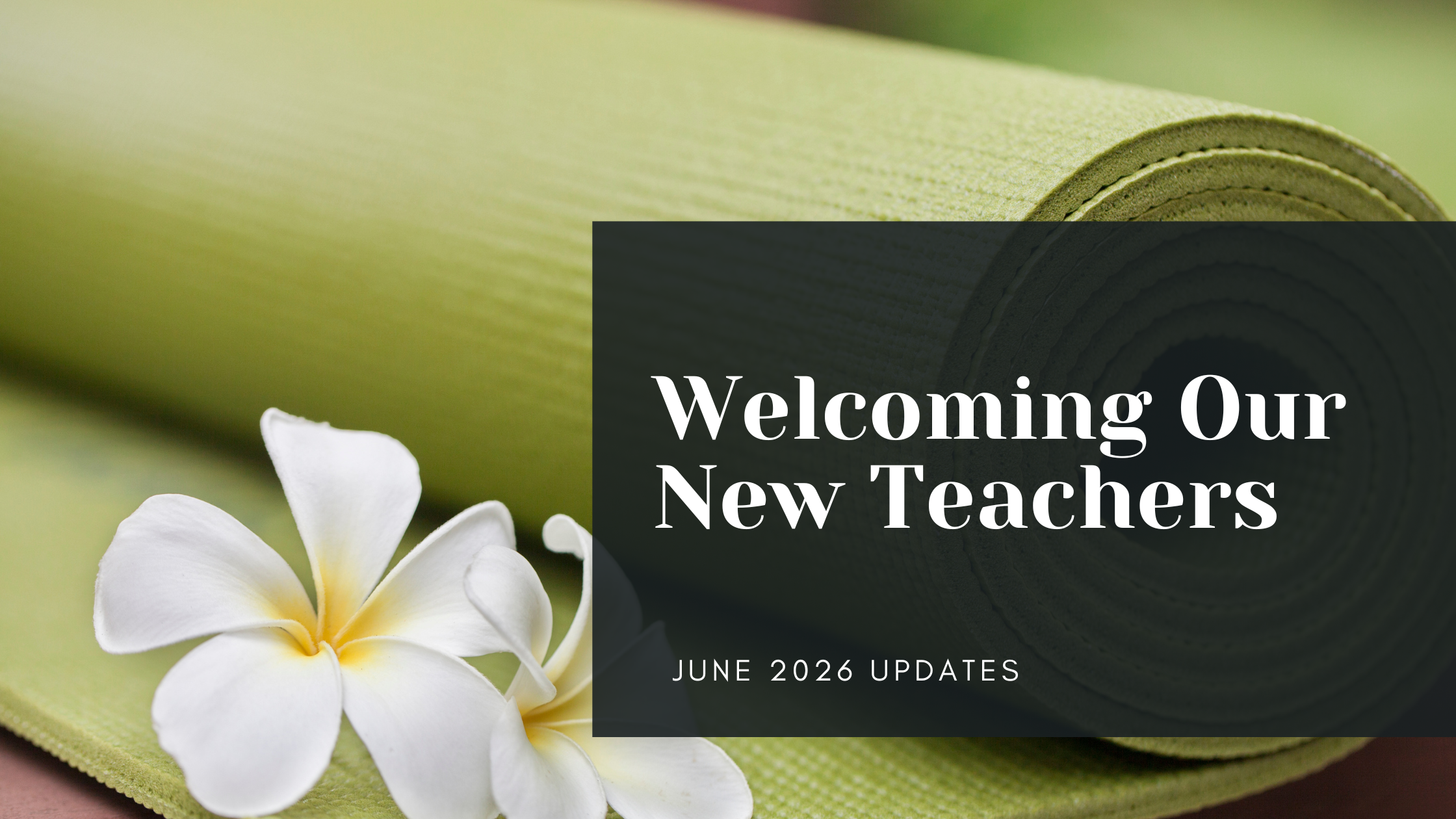 Welcoming Vrksasana Yoga’s New Teachers 🌲💛
